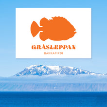 Load image into Gallery viewer, GRÁSLEPPAN - FÁNI - HVÍTUR
